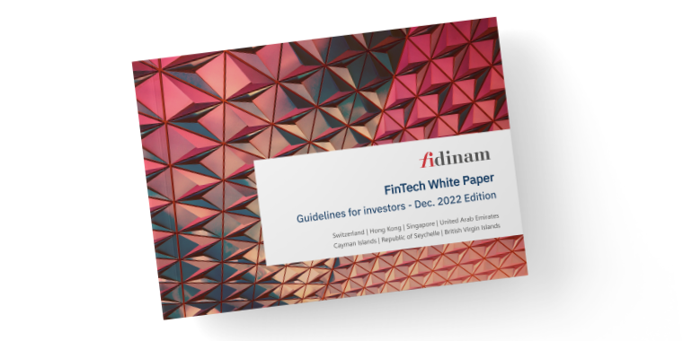 Fidinam FinTech white paper for digital asset investors
